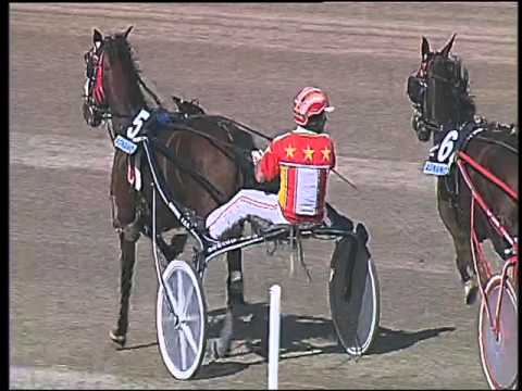 Trotto 27/09/2015 - 4° corsa