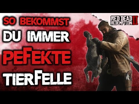 So bekommst du immer perfekte Felle/Pelze - Red Dead Redemption 2 Jagd Guide Deutsch Tipps & Tricks