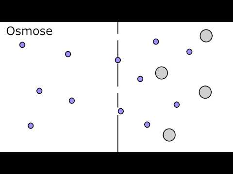 Causeless Hypertonie-Behandlung Hypertonie Grade 2 3 hohe Risiko