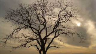 Reel People Feat. Nathan Haines - Spiritual (Distant Music Vocal Mix)