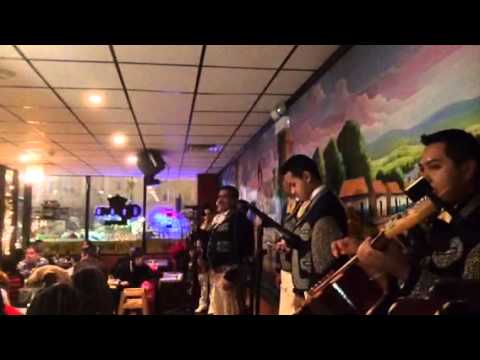 Promotional video thumbnail 1 for Mariachi Show Sol De Oro