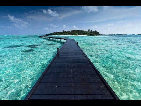 Tim Maia - Azul da cor do mar