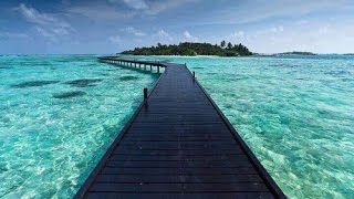 Tim Maia - Azul da cor do mar