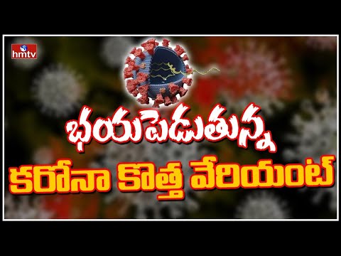 NeoCov Virus With High Death Rate