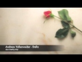 Andreas Vollenweider - Stella