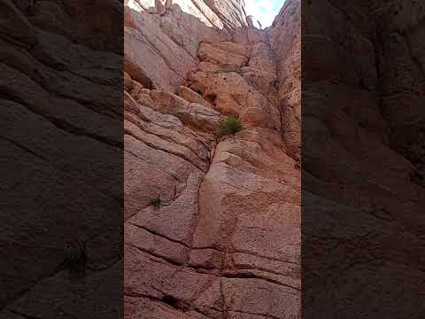 San Blas de los sauces La Rioja Cola. de novia.Sil y Gus  💙🇦🇷