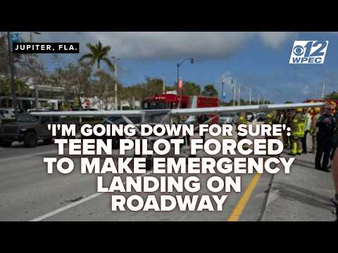 Truck Driver Helps Clear A Busy Road For A Safe Emergency Landing
