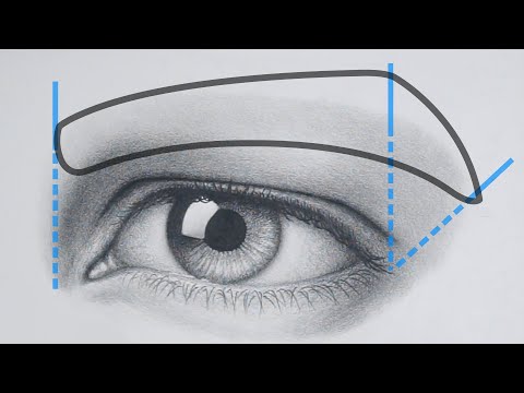 How to Draw a Realistic EYEBROW