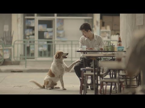 Bezuslovna ljubav i dobrota.