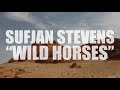 Sufjan Stevens "Wild Horses" (AUDIO)