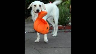 The story of Ruby McCarthy (with music)