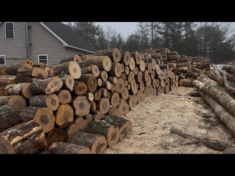 50 cords of firewood in 1 week at 78 years old.
