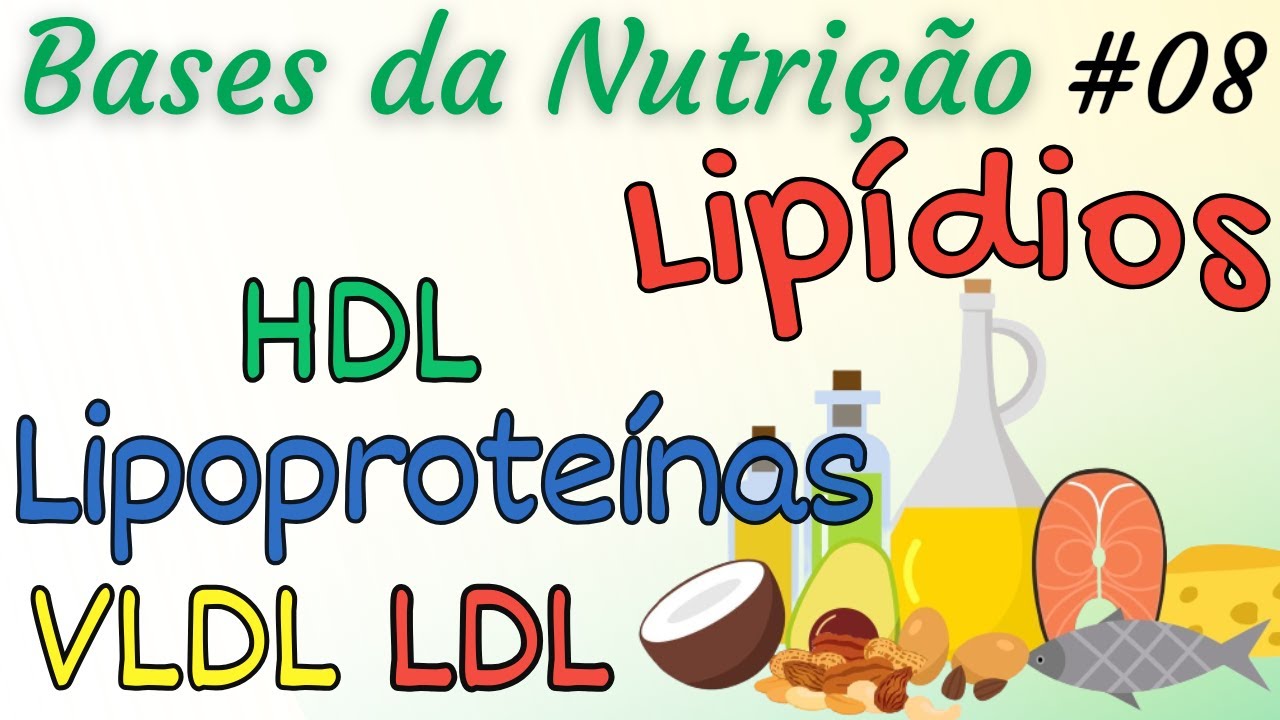 LIPIDÍOS: Lipoproteínas de Transporte - VLDL LDL e HDL - Bases da Nutrição 08
