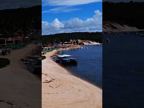 Praia do Gunga em Roteiro AL #shorts