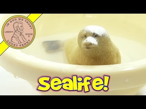Stretchable Sealife Seal - Squashy, Bouncy, Stretch Me! Video