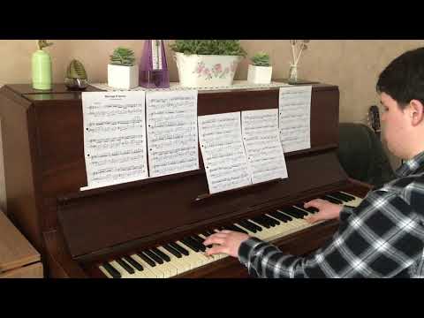 Adrian Cioltan - pian  //  Marriage D' Amour - Paul de Senneville