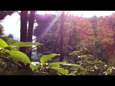 Snakes and sparklers