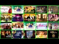List Of Turkish Series That Dubbed In Urdu In Pakistan Top Turkish Dramas List In Urdu Part 3
