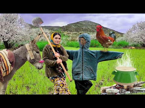 Village Lifestyle Iran: Amazing Cooking & Donkey Riding By A Girl