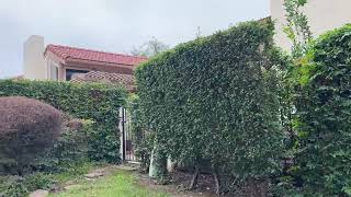 Retiring in America - home is a nest, a place to return to PART 2