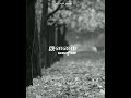 Thannai Maranthu Mannil Vilunthu Old Song WhatsApp Status