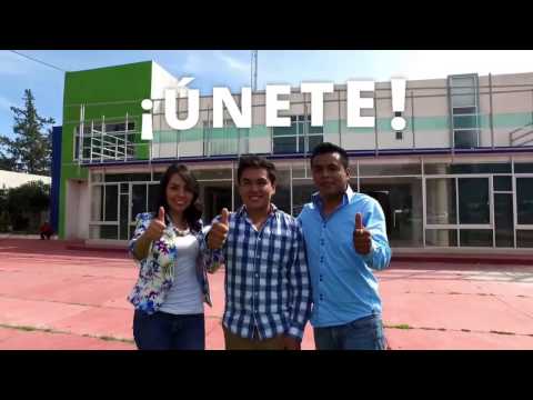 Licenciaturas COLESH ixmiquilpan