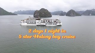 Reviewing Indochina Premium Cruise, a premium way to explore Halong bay.