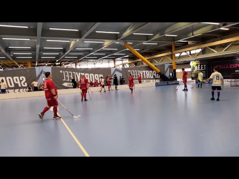 Erityisryhmien salibandy SM 2019 finaali