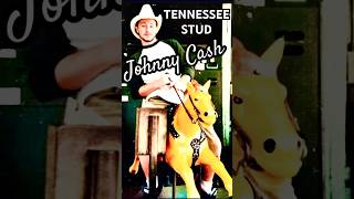 Johnny Cash Tennessee Stud #musicedit #johnnycash #tennessee #stud #theatricalgarbage ￼