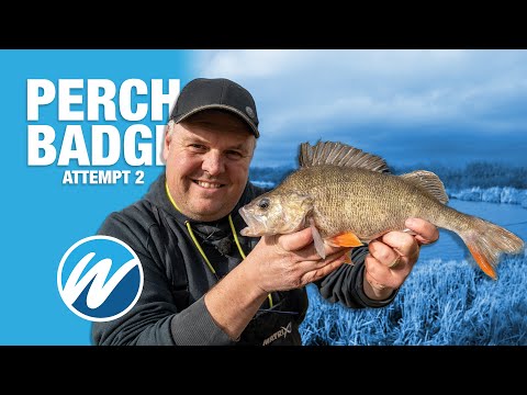 Big Perch on Prawns! | Jamie Hughes and Andy May