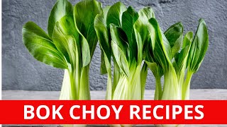 Bok Choy Recipes | How to Cook Bok Choy 3 Ways