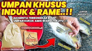 Download lagu AKHIRNYA TERBONGKAR UMPAN KHUSUS INDUK & RAME !! RESEP RAHASIA TERJITU UMPAN KUKUS AMIS WANGI ❗❗ mp3 Download lagu AKHIRNYA TERBONGKAR UMPAN KHUSUS INDUK & RAME !! RESEP RAHASIA TERJITU UMPAN KUKUS AMIS WANGI ❗❗ mp3