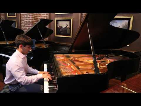 Artist Nick Poelwijk (2015 Steinway Semi-Concert Grand B For Sale At Classic Pianos Portland)