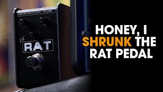 Pro Co Lil' Rat - What To Know & Where To Buy | Equipboard Pro Co Lil' Rat - What To Know & Where To Buy | Equipboard
