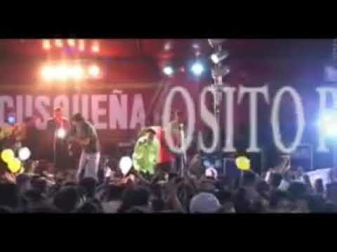 Pena Penita - Osito Pardo