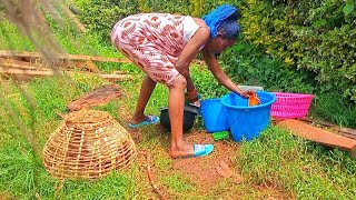African  _ Villagelife#cooking ORGANIC #food 4 breakfast‼️🔥