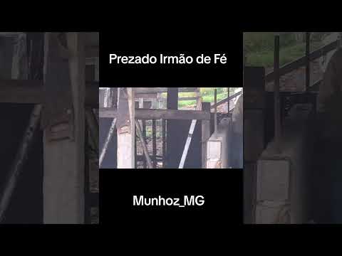 #gado #vaca #cow #cowboy #irmandade #Campo #interior #munhoz #toledo #mg #minasgerais