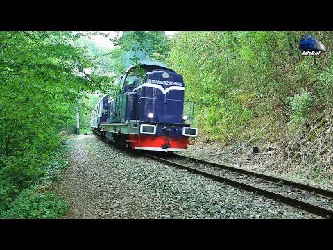 Jerry~LDH1250 80-0516-2 in Acțiune/Action in Defileul Crișului Repede Canyon - 12 September 2019