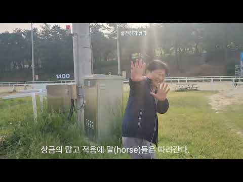 신마경주 메리트가 없다 출전하기 싢다. 몸이나 만들자!
