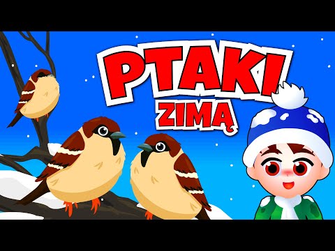 , title : 'Kazio i PTAKI ZIMĄ film edukacyjny dla dzieci 🔵 Ptaki dla dzieci 🔵 Bajka edukacyjna'
