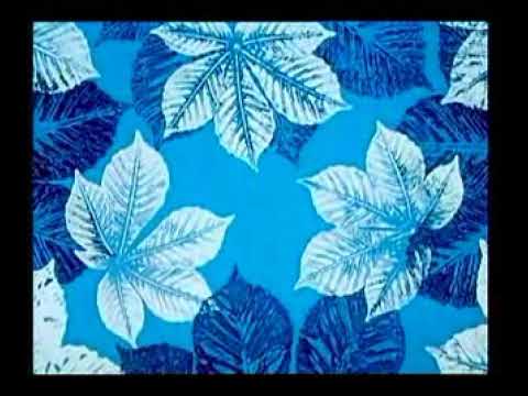 Pohádky z mechu a kapradí - Jak Křemílek s Vochomůrkou zatopili až druhou sirkou