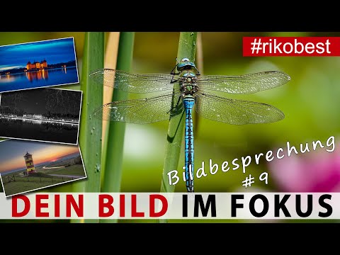 Dein Bild im Fokus #9 Fotografieren lernen, durch Bildanalyse & Bildbesprechung besser fotografieren