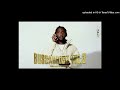 Chicken P Peoples Favorite SLOWED