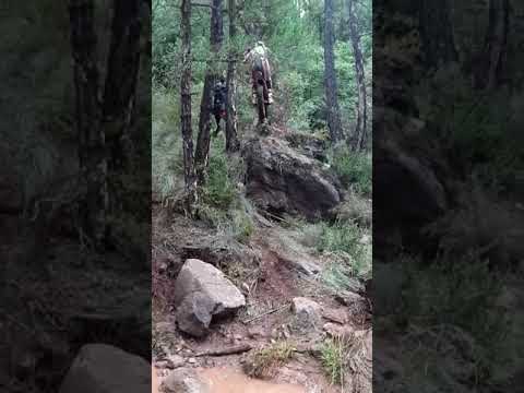 Amazing section for TONI BOU!!!