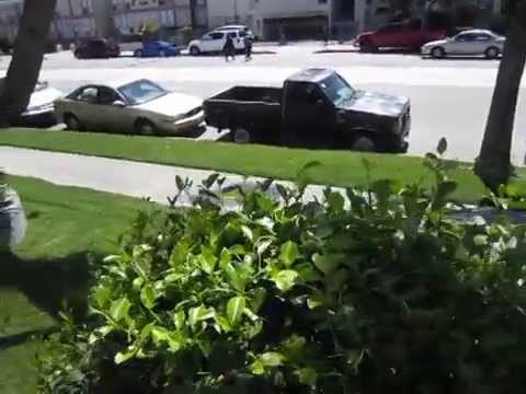 PL2055 - Studio City Apartment For Rent