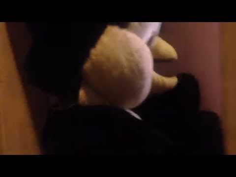 Teaser révélation ComeTours'getheR liste BDE/BDA FBS 2014