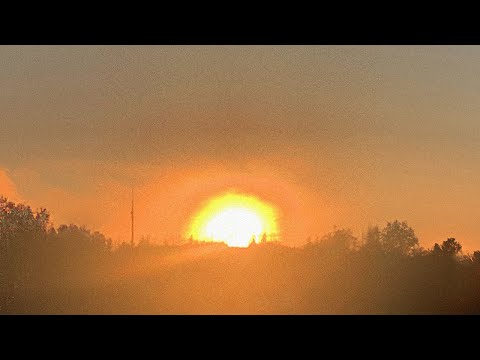 TIZ - beifahrersitz (prod. by everest)