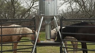 preview picture of video 'Feed Smart Automatic Horse Feeders - Nordheim Farm La Grange Tx. First Feeding'