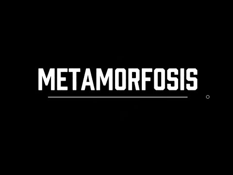 METAMORFOSIS | Cortometraje