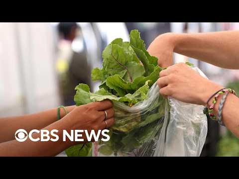 Expert on why the cyclospora parasite has been so hard to track